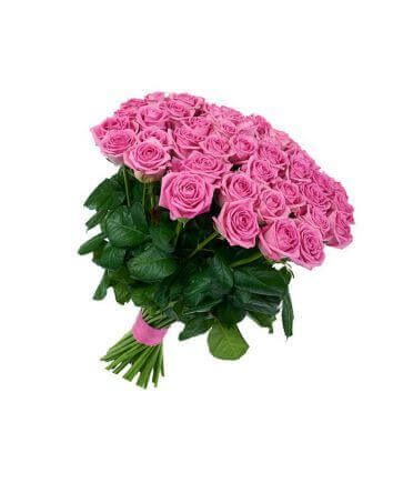 Розовые премиум розы 70 см, 15 премиум роз