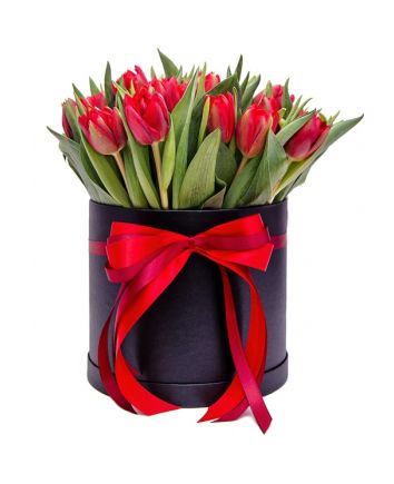 Buy Red Tulips In Box In Chisinau Moldova