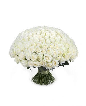 Нежные белые розы 50 см