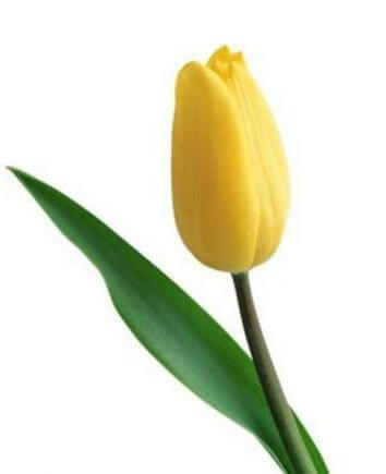 Корзина "Аромат весны"