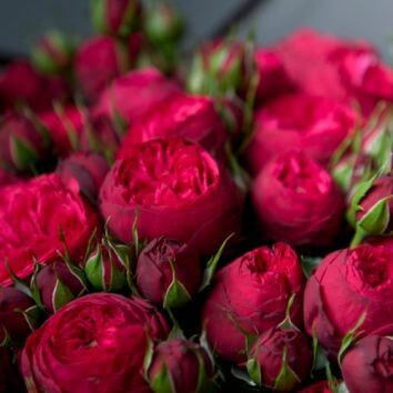 Букет из роз "Чистое сердце"