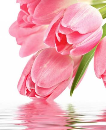 Buchet "Primăvară de piersic"