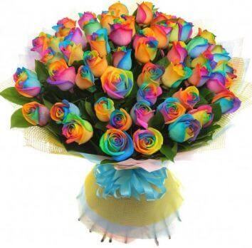 31 trandafir multicolor