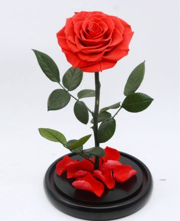 Роза в стеклянной колбе