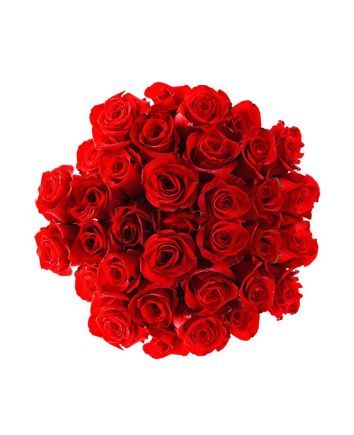 Букет из 15 алых роз