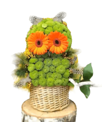 Сова из цветов