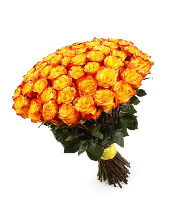 Букет из 101 желтой розы
