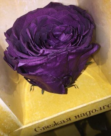 Роза Florich Фиолетовый Сапфир 7 Карат