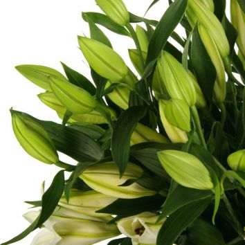 Bouquet "Spring charm"