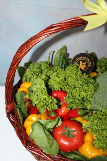 Корзина с овощами