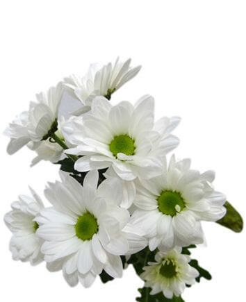 Букет "Нежность рассвета"