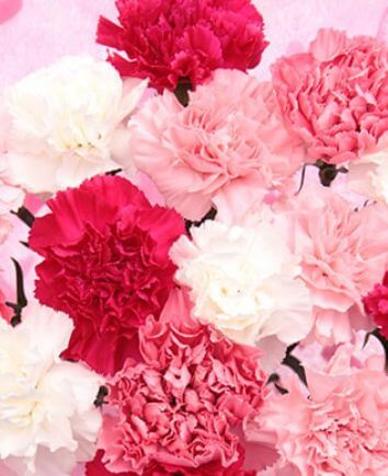 Букет ''Розовое облако''