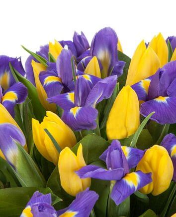 Букет "Сапфир"