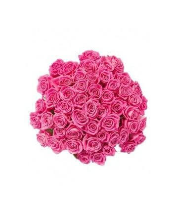 Розовые премиум розы 70 см, 15 премиум роз