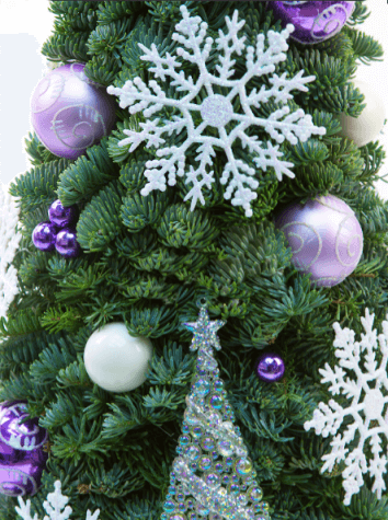 Композиция "Рождественская красавица"