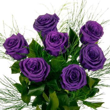 Фиолетовые розы 9 штук