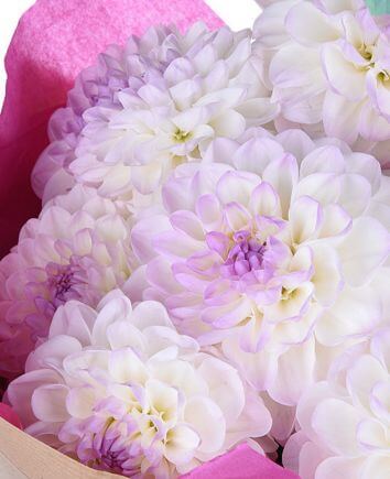 Букет "Георгиновое утро"