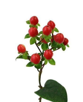 Букет "Причуда"