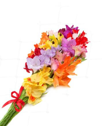 Букет с разноцветными гладиолусами