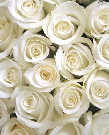 Композиция "Предложение"