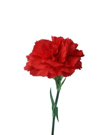 Букет "Уважение"