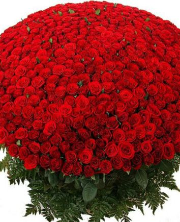 Buchet 501 de trandafiri