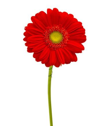 Букет "Причуда"