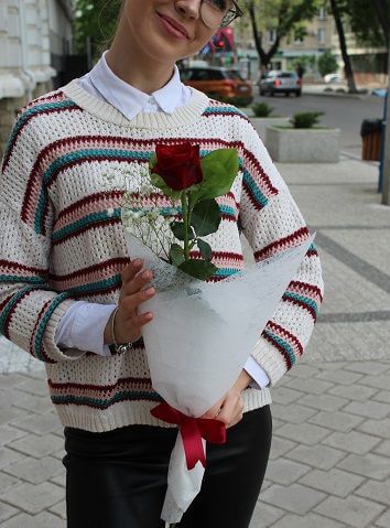 Одна розовая роза