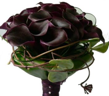 Букет "Бархат"