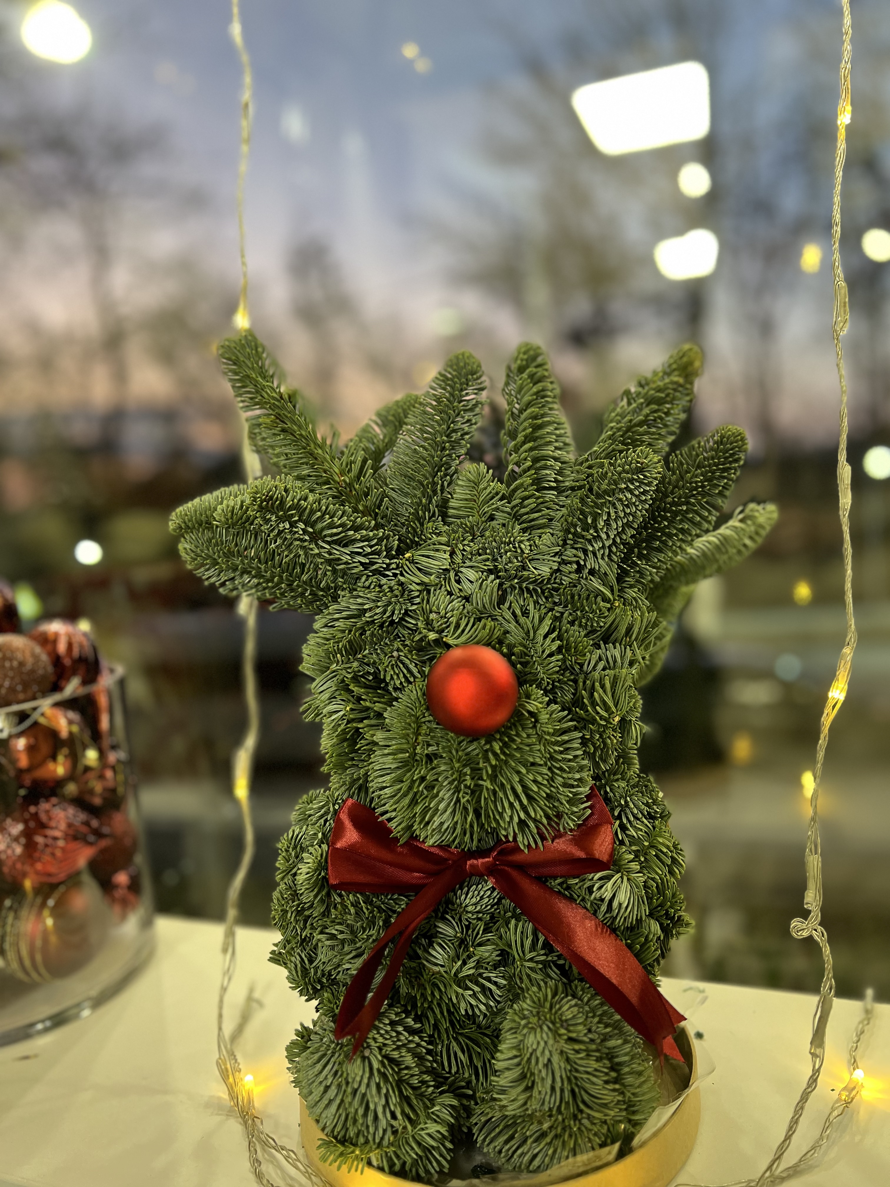 Новогодний олень из нобилиса