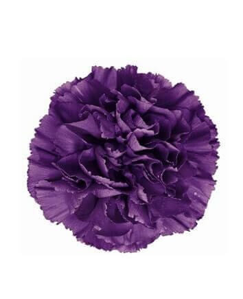 Букет ''Бархат''