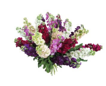 Букет "Магия чувств"