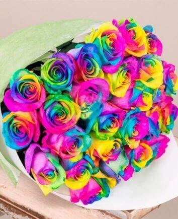 31 trandafir multicolor