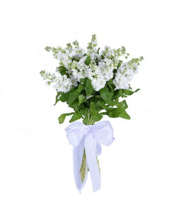Букет "Белое облако "