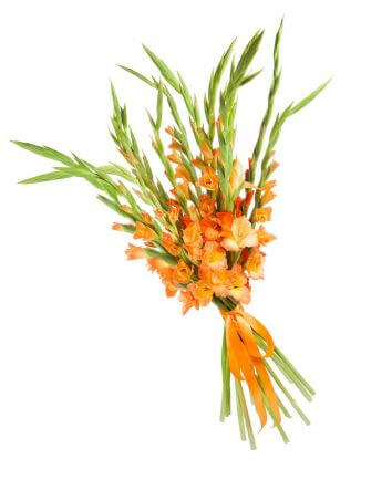 Букет с оранжевыми гладиолусами