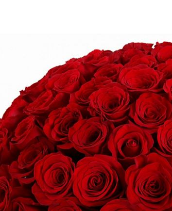 Букет из 201 розы