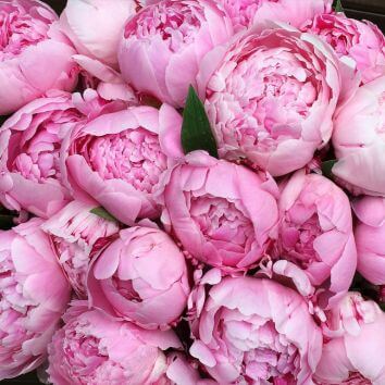 Букет "Очарование розового"