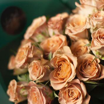 Букет из роз "Капучино"