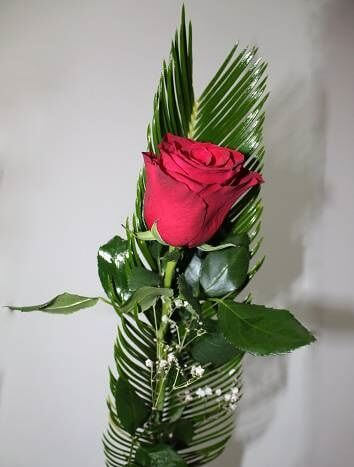Одна красная роза 60 см