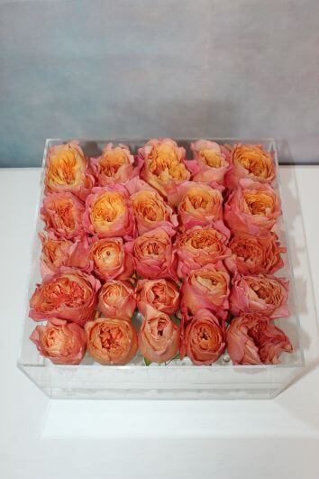 Розовое прикосновение