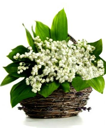 Корзинка "Большой Подарок Эльфов"