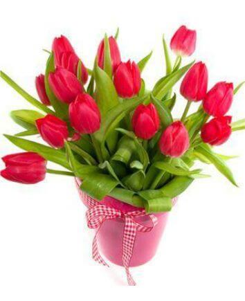 Тюльпаны "Романтика", в коробке