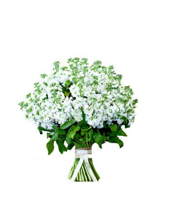 Букет "Белое облако "