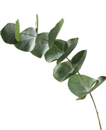 Букет "Жемчужная россыпь"