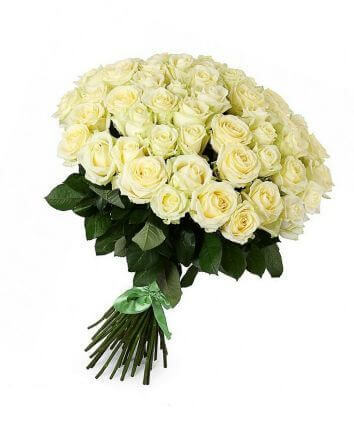 Букет из 51 белой розы