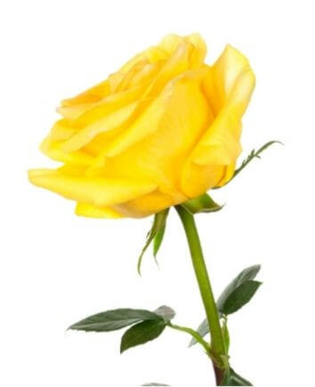 Композиция "Праздничное настроение"