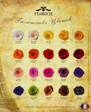 Роза Florich Фиолетовый Сапфир 7 Карат