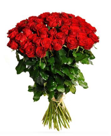 Красные розы Премиум 80 см
