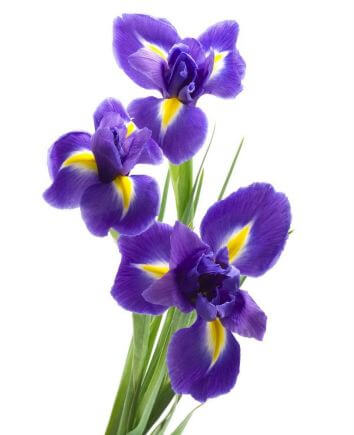 Композиция "Праздничное настроение"