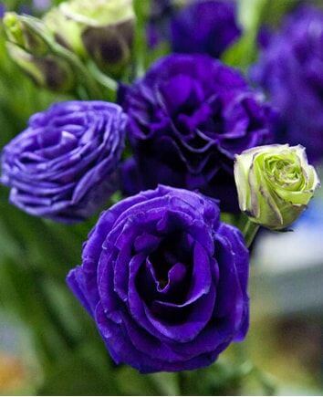 Букет "Морской Бриз"